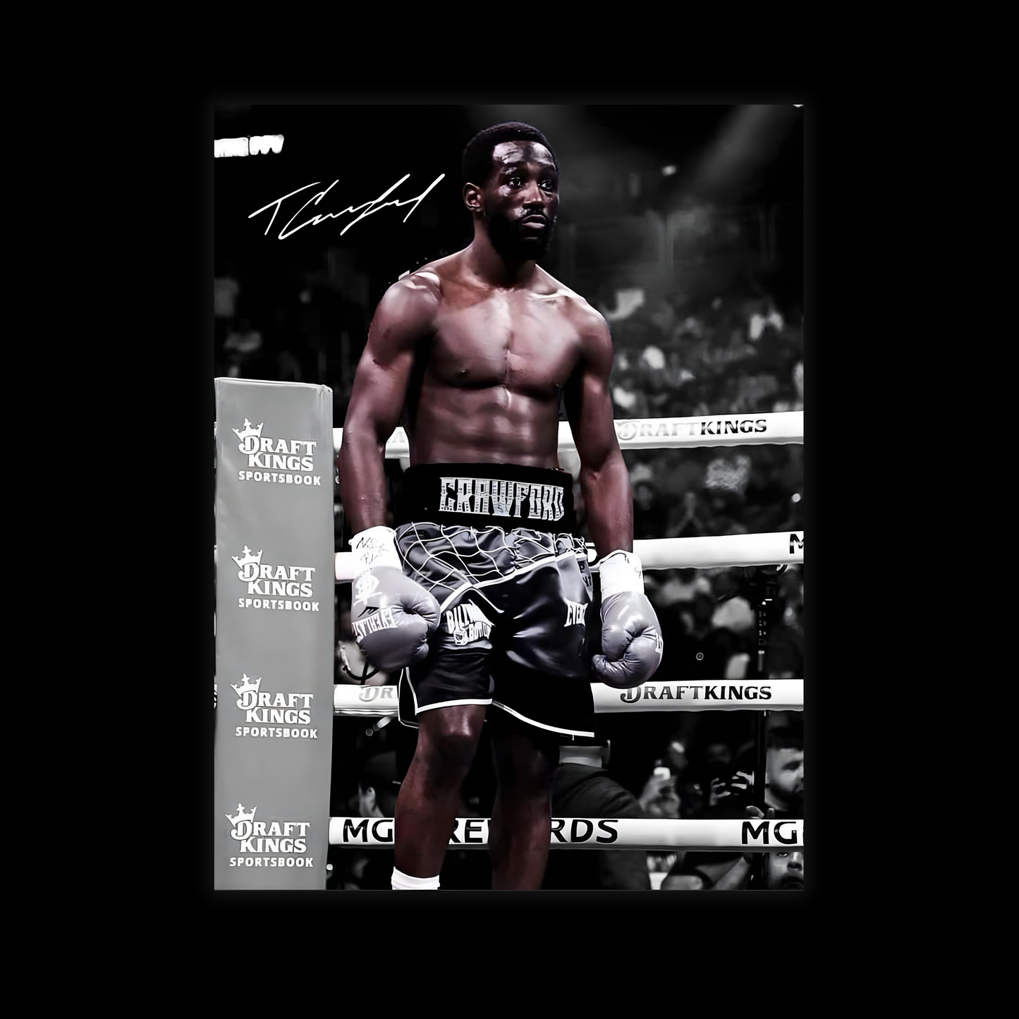 TERRANCE CRAWFORD POSTER